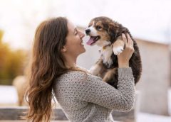 Día mundial del cachorro: claves para proteger y socializar a tu nuevo compañero desde los primeros meses