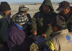 Perú y Bolivia consolidan el monitoreo transfronterizo de especies emblemáticas en el Gran Paisaje Madidi-Tambopata